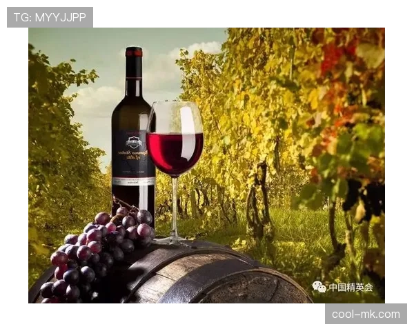 拜仁慕尼黑防线坚如磐石，近期数据彰显卓越防守实力